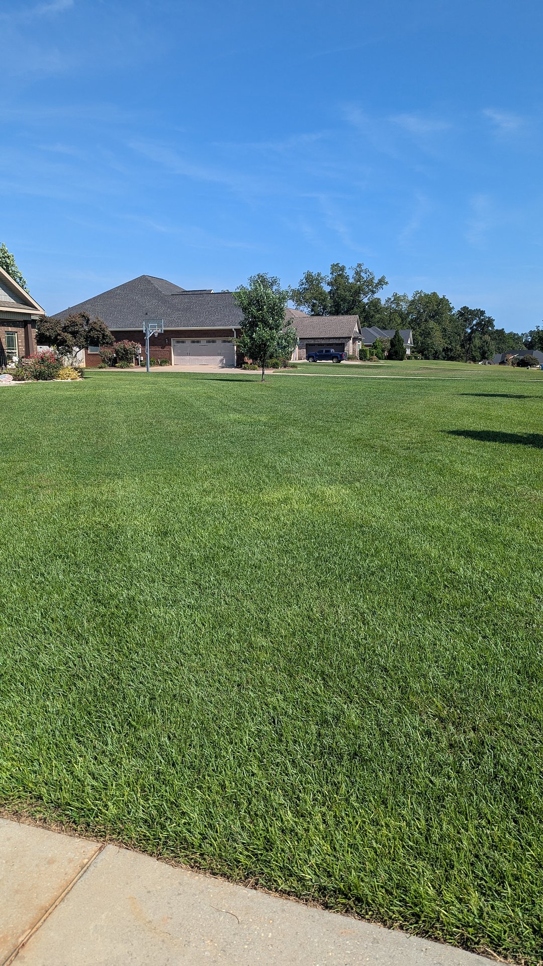Total lawn transformation in Enterprise, AL Thumbnail