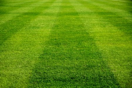 Top Dressing: A Secret to a Healthier, Greener Lawn Thumbnail