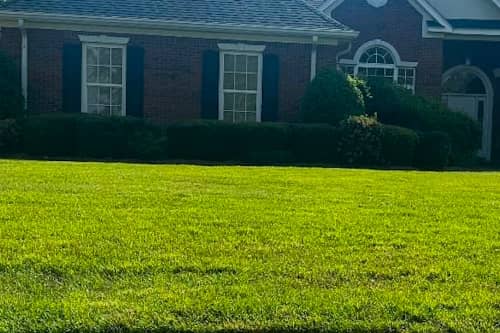 lawn-transformation-in-dothan-al-after