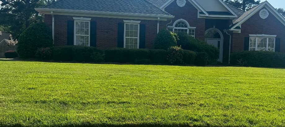 Lawn Transformation in Dothan, AL Thumbnail