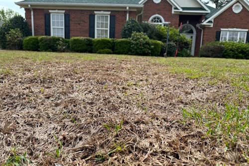 lawn-transformation-in-dothan-al-before