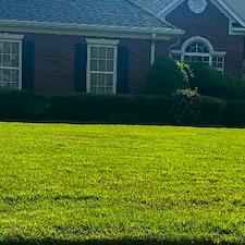 Lawn Transformation in Dothan, AL 1