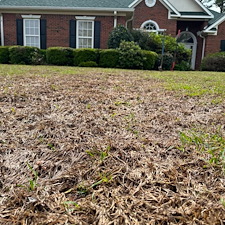 Lawn Transformation in Dothan, AL 0